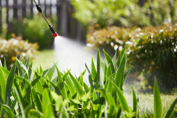24/7 Emergency Mosquito Control experts in Phillipsburg, NJ