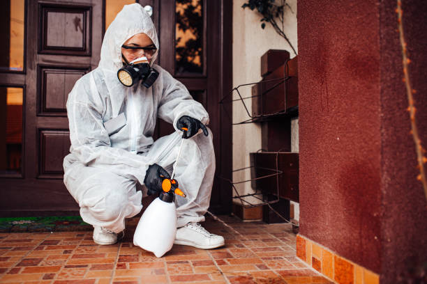 Reliable Mosquito Control contractor in Phillipsburg, NJ by Show Me Pest Control